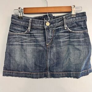 Earnest Sewn Denim Mini Skirt